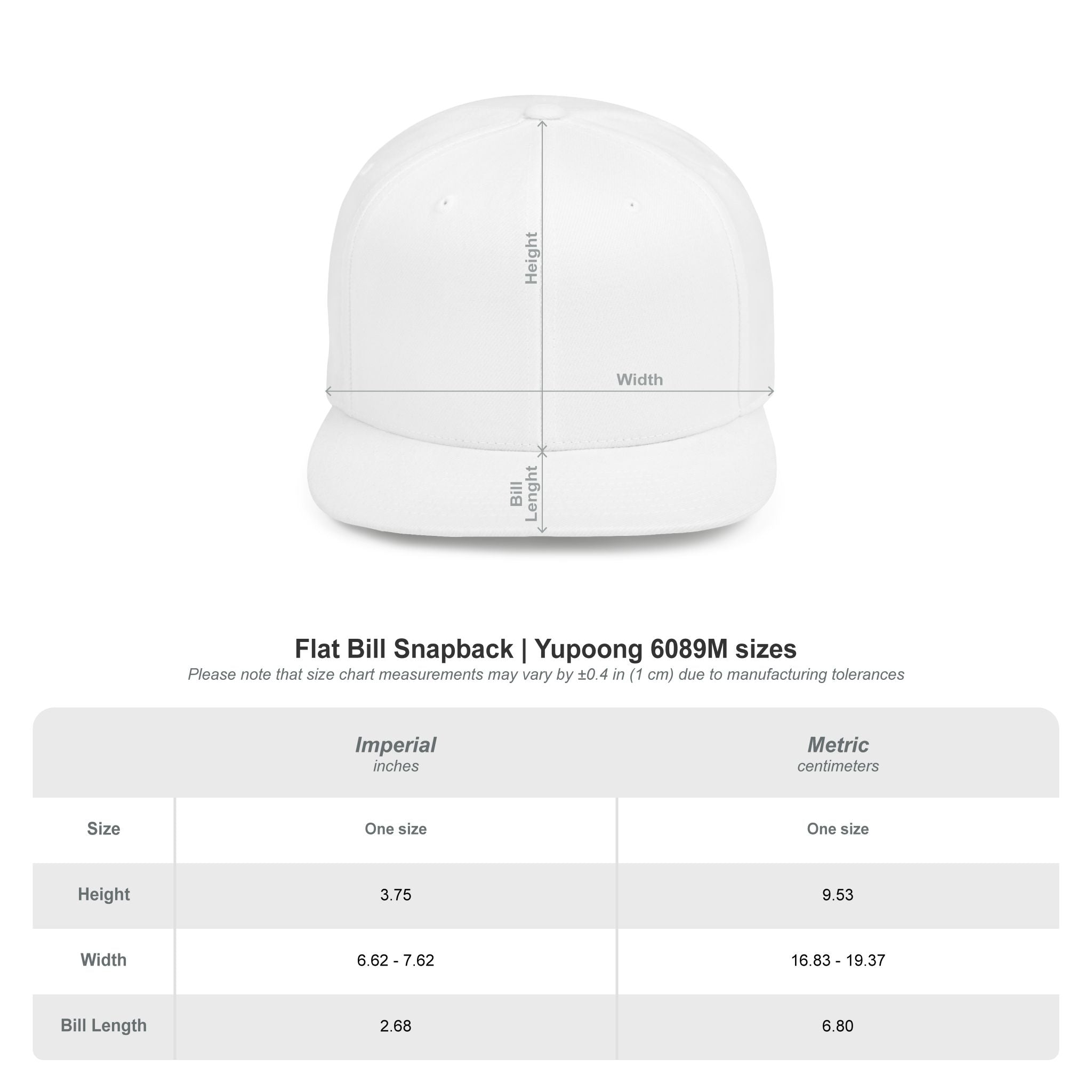 Scoot in the Loops Flat Bill Snapback Hat — Skate Scooter Streetwear Cap