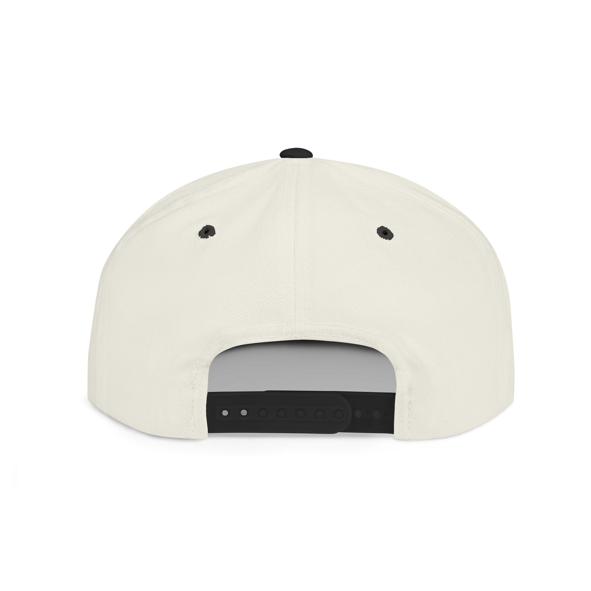 Scoot in the Loops Flat Bill Snapback Hat — Skate Scooter Streetwear Cap